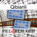 Qibianli 20